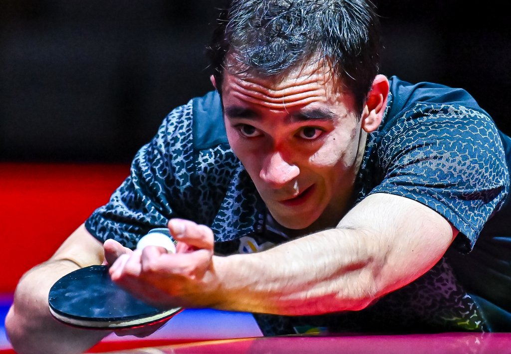 反观怀特内 反观怀特内