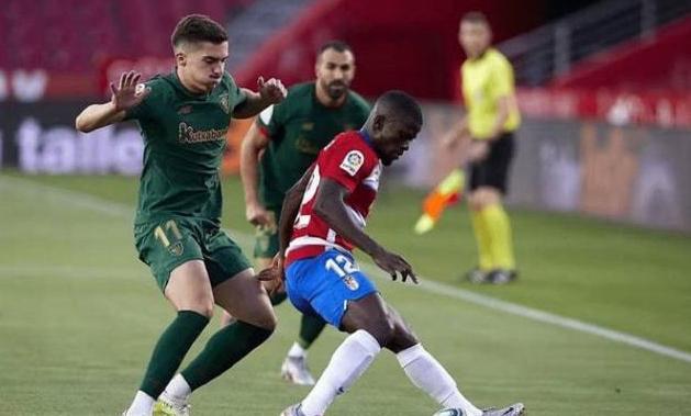 拥有丰富的 拥有丰富的