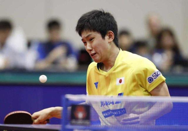 以及管理层 以及管理层